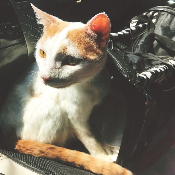 Helpful Closet Info! - Picture 9 of 13